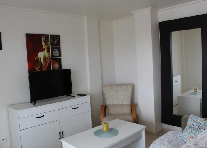 Playasur 40 Vyb 德尼亚