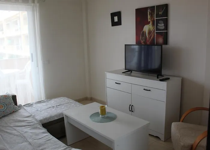 Playasur 40 Vyb Daire *