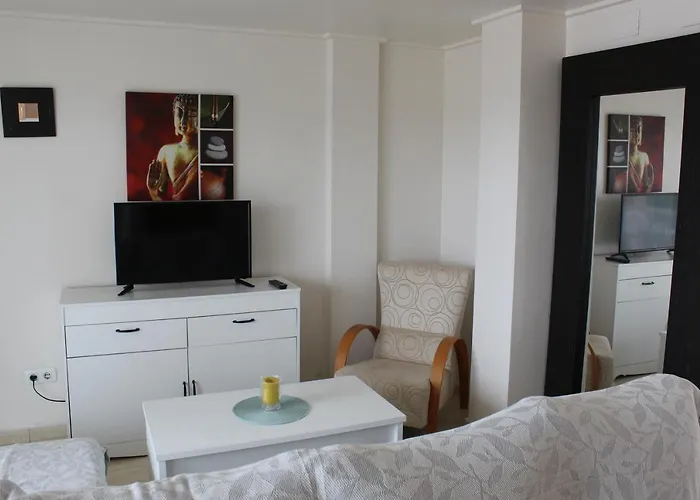 Playasur 40 Vyb Daire *